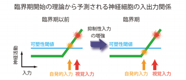 催眠療法と脳科学